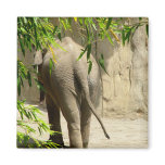 Elephant Booty Magnet
