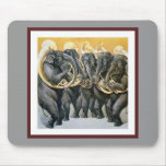 Elephant Brass Band
