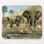 Elephant Bulls Mouse Pads
