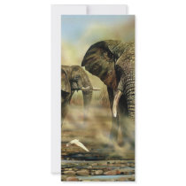 Elephant Bulls Rack Cards