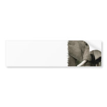 Elephant  Bumper Sticker