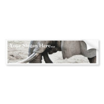 Elephant Bumper Stickers