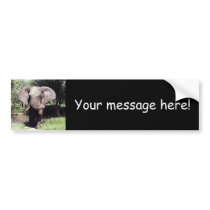 Elephant bumper stickers