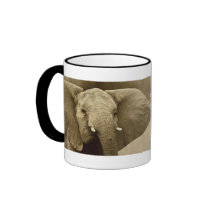 Elephant calendars mugs
