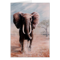 Elephant Cards