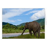 Elephant Greeting Cards