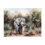 Elephant Coming Through Postcard