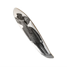 Elephant dandy skateboards