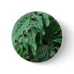 Elephant-Ear-Philodendron 6 buttons