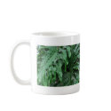 Elephant-Ear-Philodendron 6 mugs