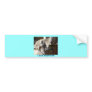 elephant eating bumper stickers