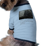 Elephant Eye pet clothing