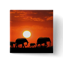 Elephant family