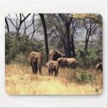 Elephant family in the bush mouse pads