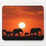 Elephant family mousepads