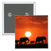 Elephant family pins