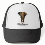 Elephant Hats