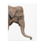 Elephant head post cards