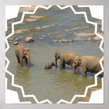 Elephant Herd Poster