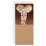 Elephant in brown rack cards