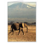 Elephant in front of Kilimanjaro Greeting Card