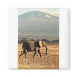 Elephant in front of Kilimanjaro magnets