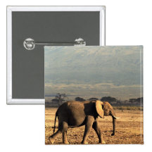 Elephant in front of Kilimanjaro Pins