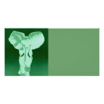 Elephant in green