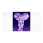 Elephant in purple