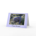 Elephant in Trees Happy Birthday cards