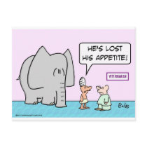 elephant lost appetite veterinarian post cards