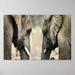 Elephant Lovers Art Gifts posters