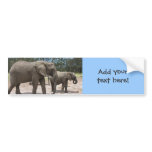 Elephant Mother and Baby Photo bumper stickers