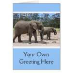Elephant Mother and Baby Photo cards