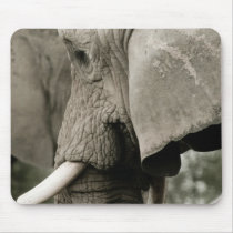 Elephant Mouse Pad