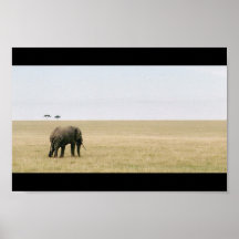 Elephant on the Mara Poster