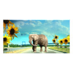 Elephant photo cards