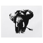 Elephant Pop Art flyers