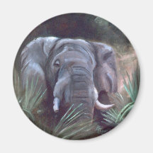 Elephant Portrait Magnet