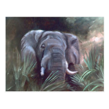 Elephant Portrait Postcard
