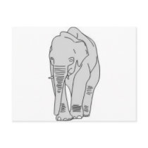 Elephant Postcard