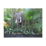 Elephant postcard