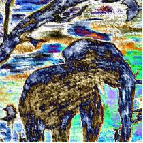 Elephant Rainbow photo sculptures