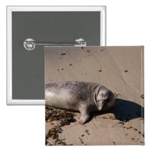 Elephant Seal Pup Button