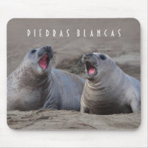 Elephant Seal Pups at Piedras Blancas Mouse Pads