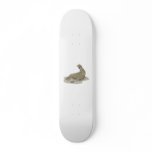 Elephant Seal skateboards