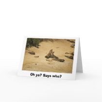 Elephant Seals Establish Who is the Alpha Male Greeting Cards