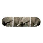 Elephant Skateboard