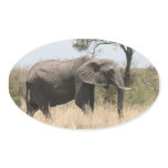 elephant stand stickers