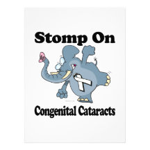 Elephant Stomp On Congenital Cataracts Invitations